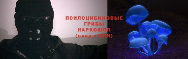 прущие грибы Баксан