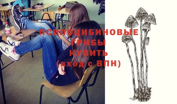 тгк Балахна