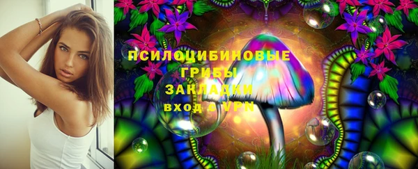 тгк Балахна
