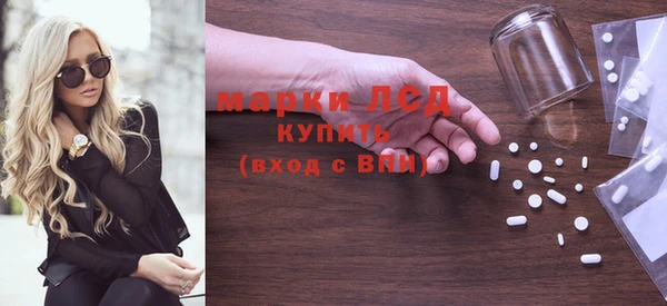 прущие грибы Баксан